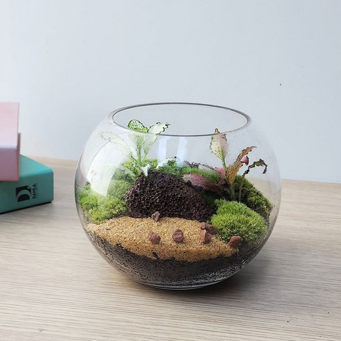 손쉽게 만드는 나만의 작은 정원, 잎새몰 이끼 테라리움 키트