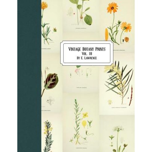 (영문도서) Vintage Botany Prints: Vol. 18 Paperback, Createspace Independent Pub..., English, 9781724936721