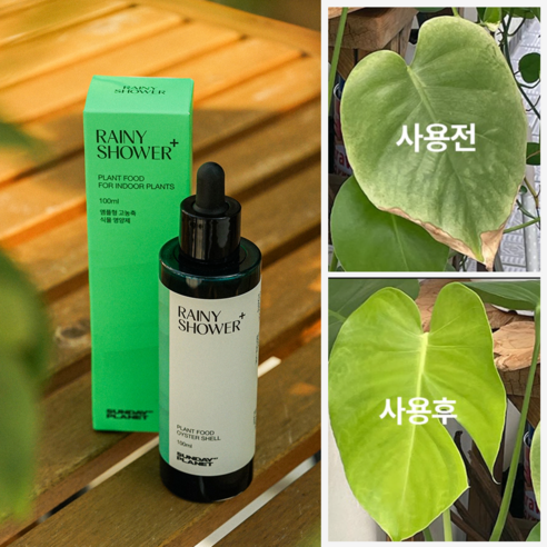 앰플형 고농축 식물영양제 - 레이니샤워, 1개, 100ml