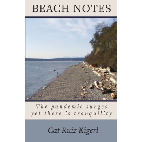 Beach Notes Paperback, Twonewfs Publishing
