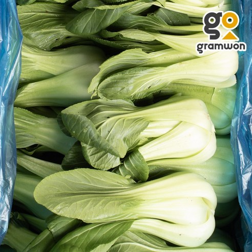 청경채 4kg 마라탕 샤브샤브 편백찜 국내산 - 채소류 | 쿠팡