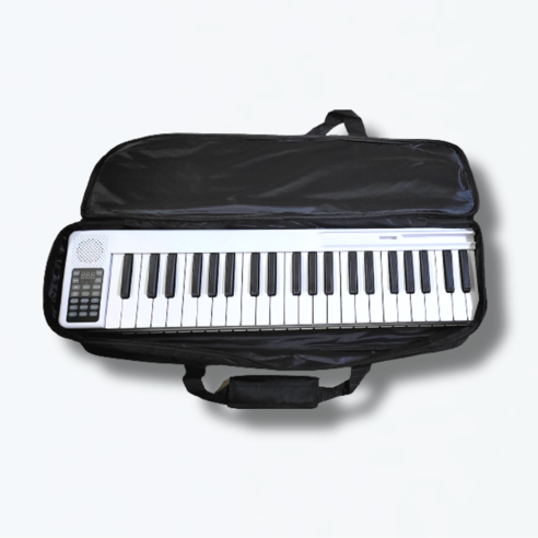베이티전문 eleo피아노는 소리와 휴대성을 모두 갖춘 전자피아노입니다.