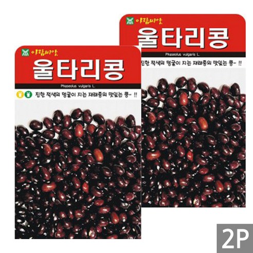 세인화분 울타리콩 30g - 국산 재래종 밤콩 콩 씨 씨앗, 2개