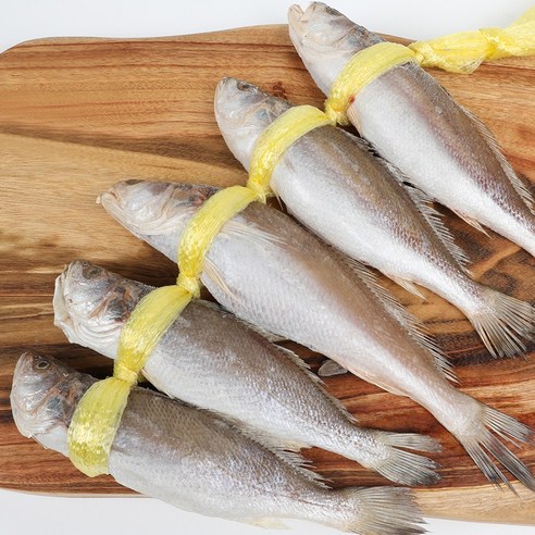 맛있는 민어를 즐기기 위한 고급스러운 손질된 민어굴비