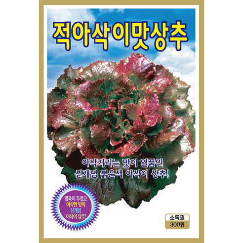 쌈채소 씨앗 모음 종자 상추 치커리 로메인 깻잎 쌈채, 2개