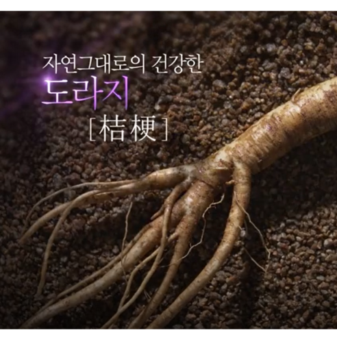 무농약 6년근 약도라지청 도라지정과, 도라지 청 300g, 1개, 300g