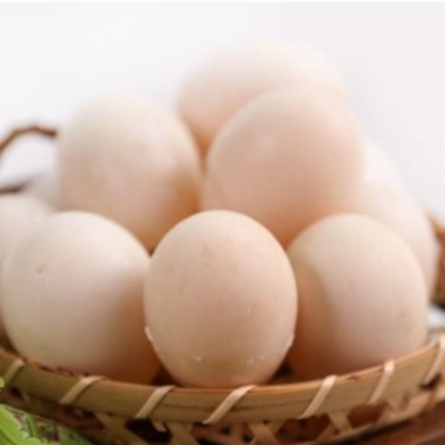 기러기알, 지친 당신의 하루에 활력을 불어넣어 줄 비밀병기!