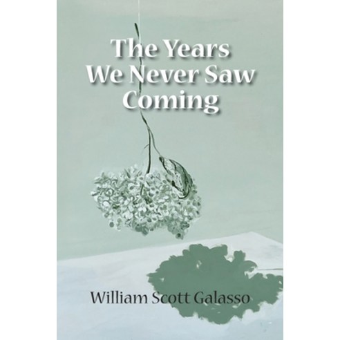 (영문도서) The Years We Never Saw Coming Paperback, Galwin Press, English, 9781732752740