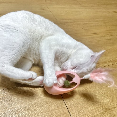 멍냥이노리터 고양이 캣닢 볼 사냥놀이 셀프 오뚜기 장난감, 분홍이, 1개