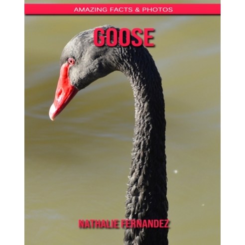 Goose: Amazing Facts & Photos Paperback, Independently Published