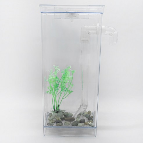 바쁜 일상 속의 자연을 담다