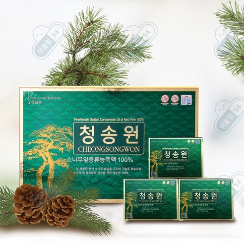 솔잎의 힘을 활용한 건강 증진