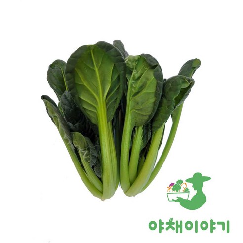 야채이야기 싱싱한 그린 비타민 채소 특수 야채 300g 다채