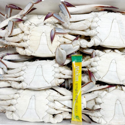 [급속냉동] 일품어장 태안 신진도 꽃게 몽당 암꽃게 숫게 5kg 대용량 업소용, 1개, 숫꽃게 5kg(15미 내외)