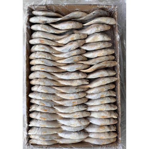 힘찬푸드 인도산 민어조기 10KG 105마리전후 긴가이석태 - 조기 | 쿠팡