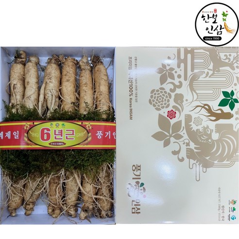 6년근 인삼 한근(600g) 실속형 선물세트 12뿌리 내외 풍기인삼시장 한보인삼사, 600g, 8세트 - 인삼/수삼/장뇌삼 | 쿠팡