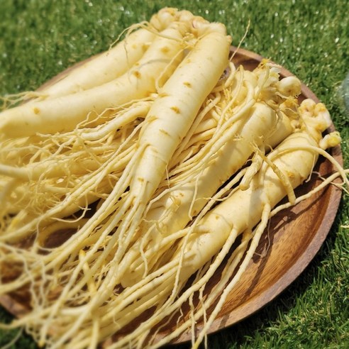 금산인삼 수삼 튀김용 세척삼 한채 도매시장 대삼계탕 1채 20~35뿌리, 1개, 750g, [세      척 + 용기포장]