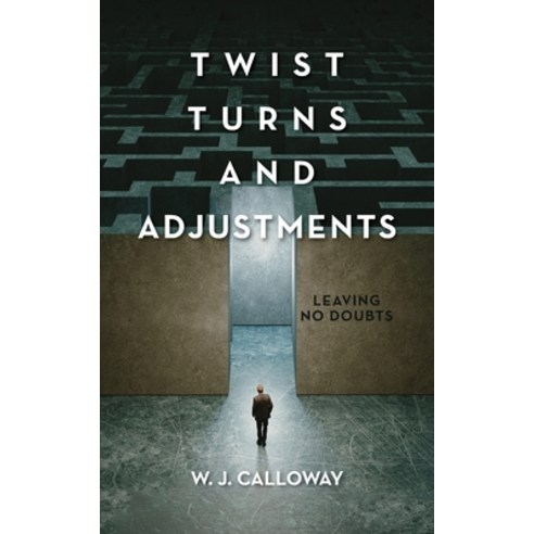 (영문도서) Twist Turns and Adjustments: Leaving No Doubts Paperback, Palmetto Publishing, English, 9798822935747