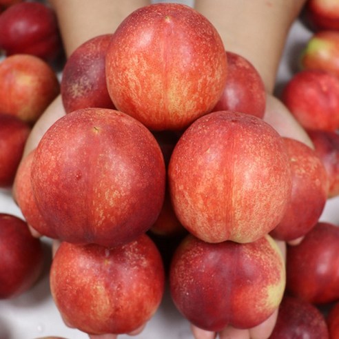 국내산 고당도 신비복숭아 1kg 소과, 1개