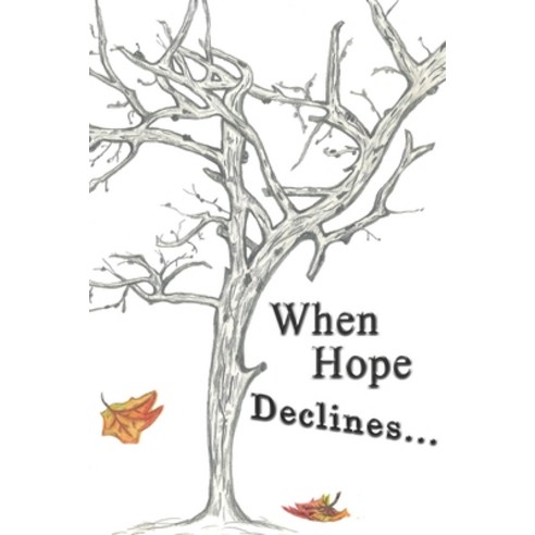 (영문도서) When Hope Declines: Thoughts experiences and suggestions on caregiving from a caregiver Paperback, Independently Published, English, 9798848258868