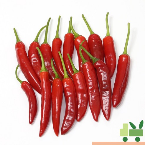 사라상회 홍청양 고추 2Kg (특)