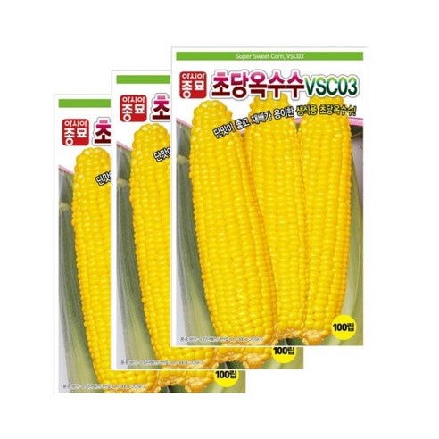 초당 옥수수씨앗 3개 (100립 x 3) 생식용 단맛 좋은 옥수수 노랑옥수수씨앗