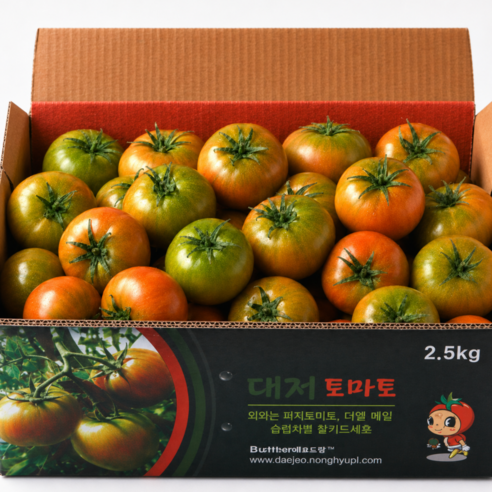 [한정특가] 대저토마토 짭짤이