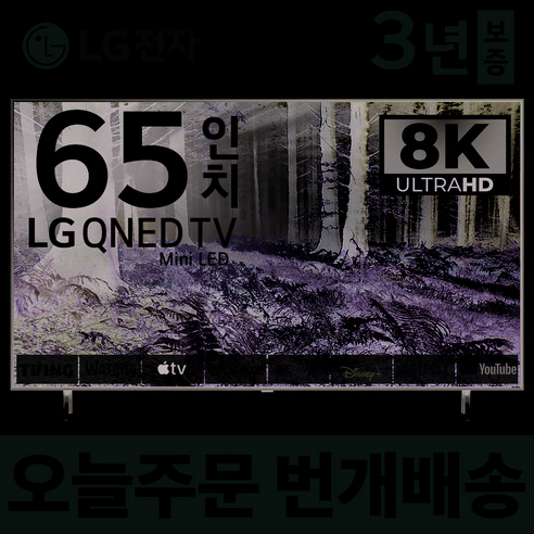 LG전자 65인치 TV QNED 8K 스마트 Mini LED 티비 65QNED99 넷플릭스 유튜브 디즈니 미러링, 1.매장방문