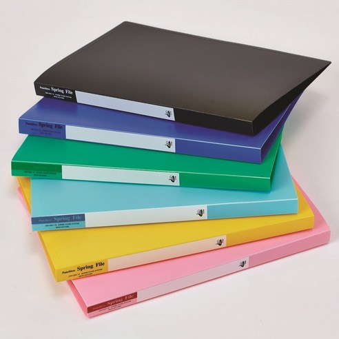 효율적이고 내구성 있는 서류 보관을 위한 더존FK 스프링화일 PP 2p