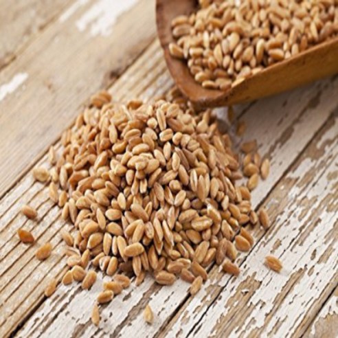 BARLEY HULLED- 22lb, 1개