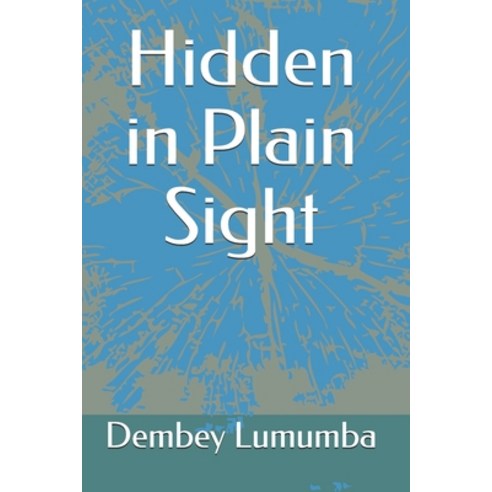 Hidden in Plain Sight Paperback, Independently Published, English, 9781794097643