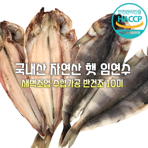 [산지직송] 국내산 자연산 주문진.속초 새벽조업 특A+급 햅썹인증 수협가공 임연수 10미