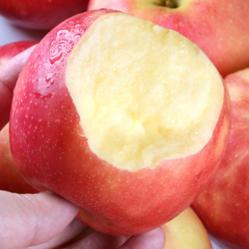 자연이 빚은 달콤한 선물, 못난이 보조개 사과의 특별한 매력 속으로 사과5kg