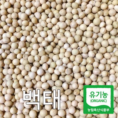 산들바람 2022년산 국내산 유기농 백태 메주콩 1kg, 1개