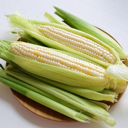 첫 출하 미백 찰 옥수수 20개입, 특품 15cm 이상 20개입