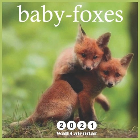 baby-foxes: 2021 Wall & Office Calendar 12 Month Calendar Paperback, Independently Published
