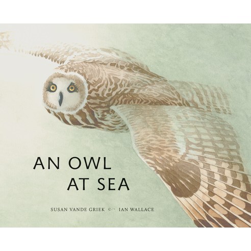 (영문도서) An Owl at Sea Hardcover, Groundwood Books, English, 9781773061115