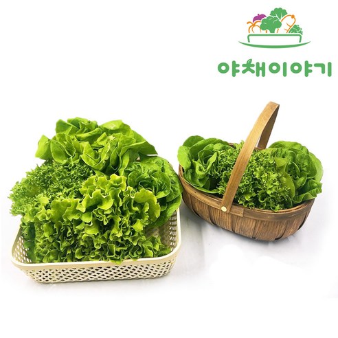 야채이야기 유러피안 샐러드: 영양소가 풍부하고 편리한 건강한 선택