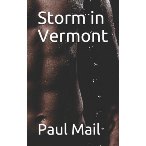 Storm in Vermont Paperback, Independently Published, English, 9798710619292