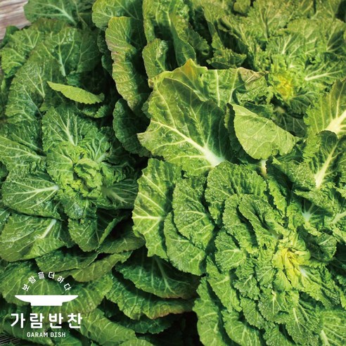 봄의 맛과 건강의 완벽한 조화