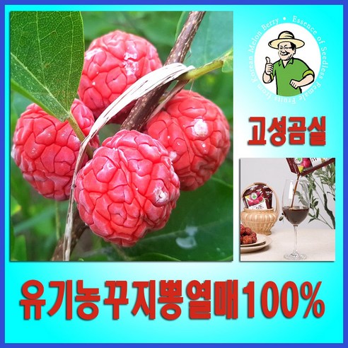 구지뽕 꾸지뽕 발효효소진액 국산유기농 구찌뽕열매100% 90ml 30팩, 2개, 2.7L