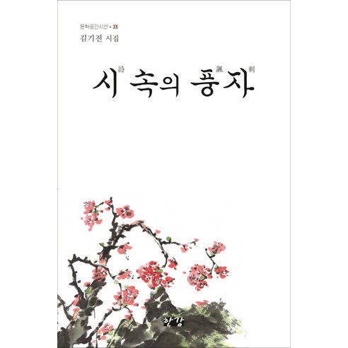 시 속의 풍자:김기전 시집, 한강, 김기전 저