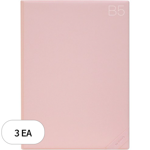 데얼스 도큐먼트 파일홀더 B5, 피치, 3개
