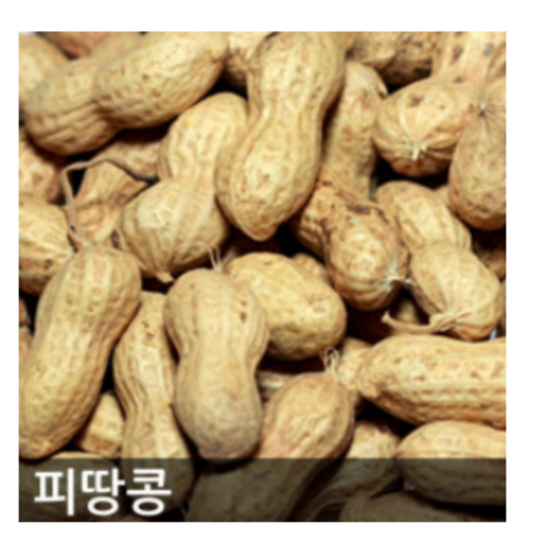 대지의 숨결을 담은 햇땅콩, 껍질 속 풍요로움을 맛보세요.