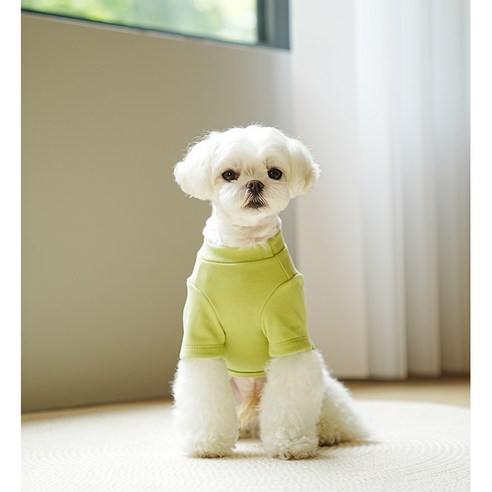 멍냥부띠크 강아지 곰돌이 티셔츠 실내복, 그린, 2개