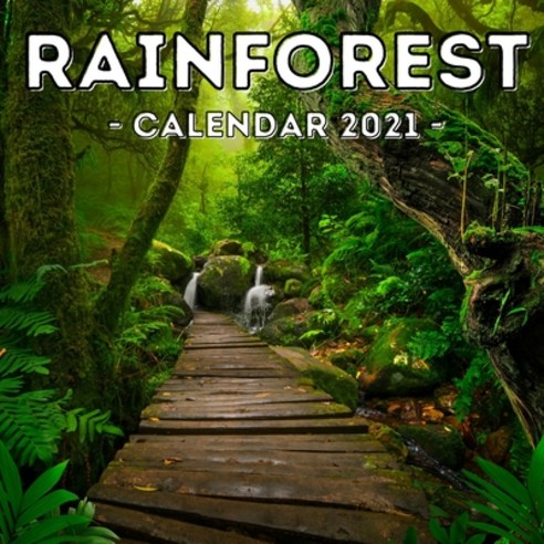 (영문도서) Rainforest Calendar 2021: 16-Month Calendar Cute Gift Idea For Forest Lovers Women & Men Paperback, Independently Published, English, 9798511660912