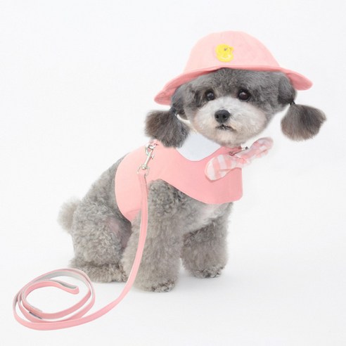 강아지 고양이 귀여운 옷형 하네스 봄옷 가슴줄 리드줄 세트, 분홍, 1개