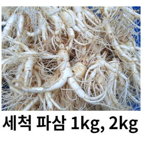 수삼 파삼 세척인삼 가정용 인삼 파삼 1kg 2kg 3kg 못생긴인삼 막삼 대용량 (세척유무선택), 세척파삼파삼3kg, 1개