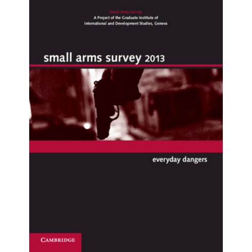 (영문도서) Small Arms Survey 2013: Everyday Dangers Paperback, Cambridge University Press