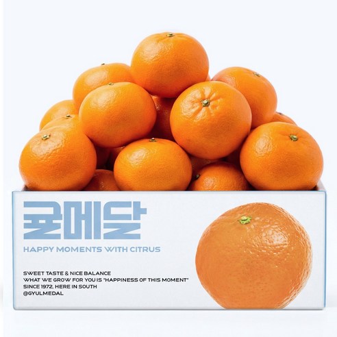 [15브릭스 산지직송] 제주 천혜향 당도선별 귤메달 천헤양 천헤향 천해양 천해향